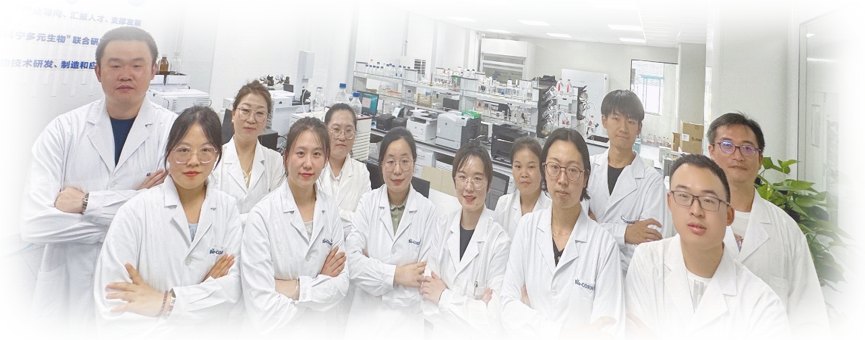 科宁研发团队