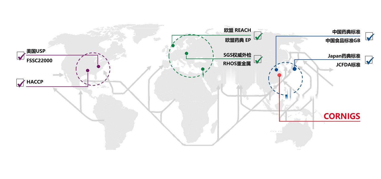 全球标准与合规覆盖地图